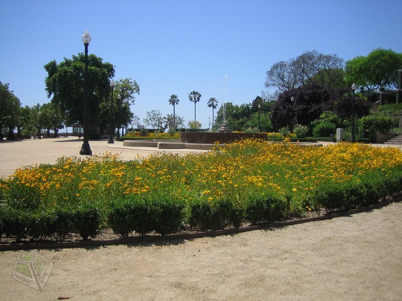 Calella 2010_4497.JPG